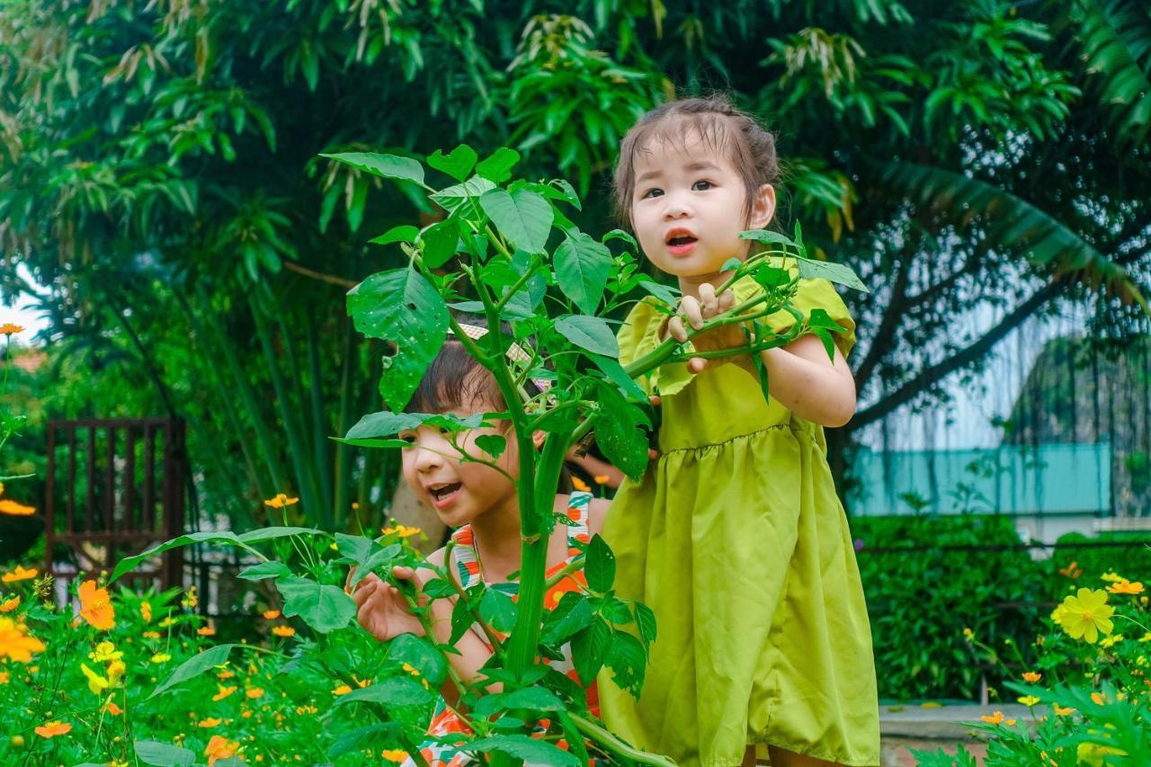 Ninh Binh Mountain Side Homestay & Cafe מראה חיצוני תמונה
